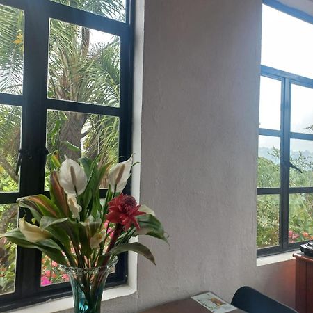 Hospedaje Totalmanik Cuetzalán del Progreso Esterno foto