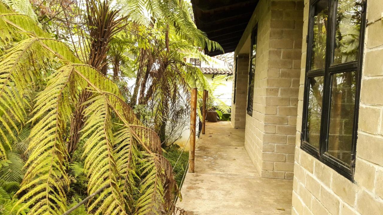 Hospedaje Totalmanik Cuetzalán del Progreso Esterno foto