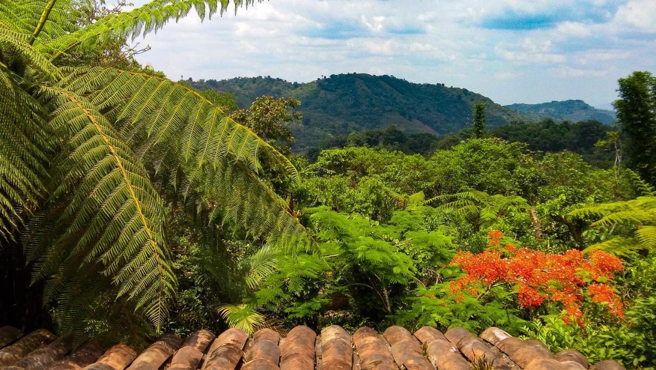 Hospedaje Totalmanik Cuetzalán del Progreso Esterno foto