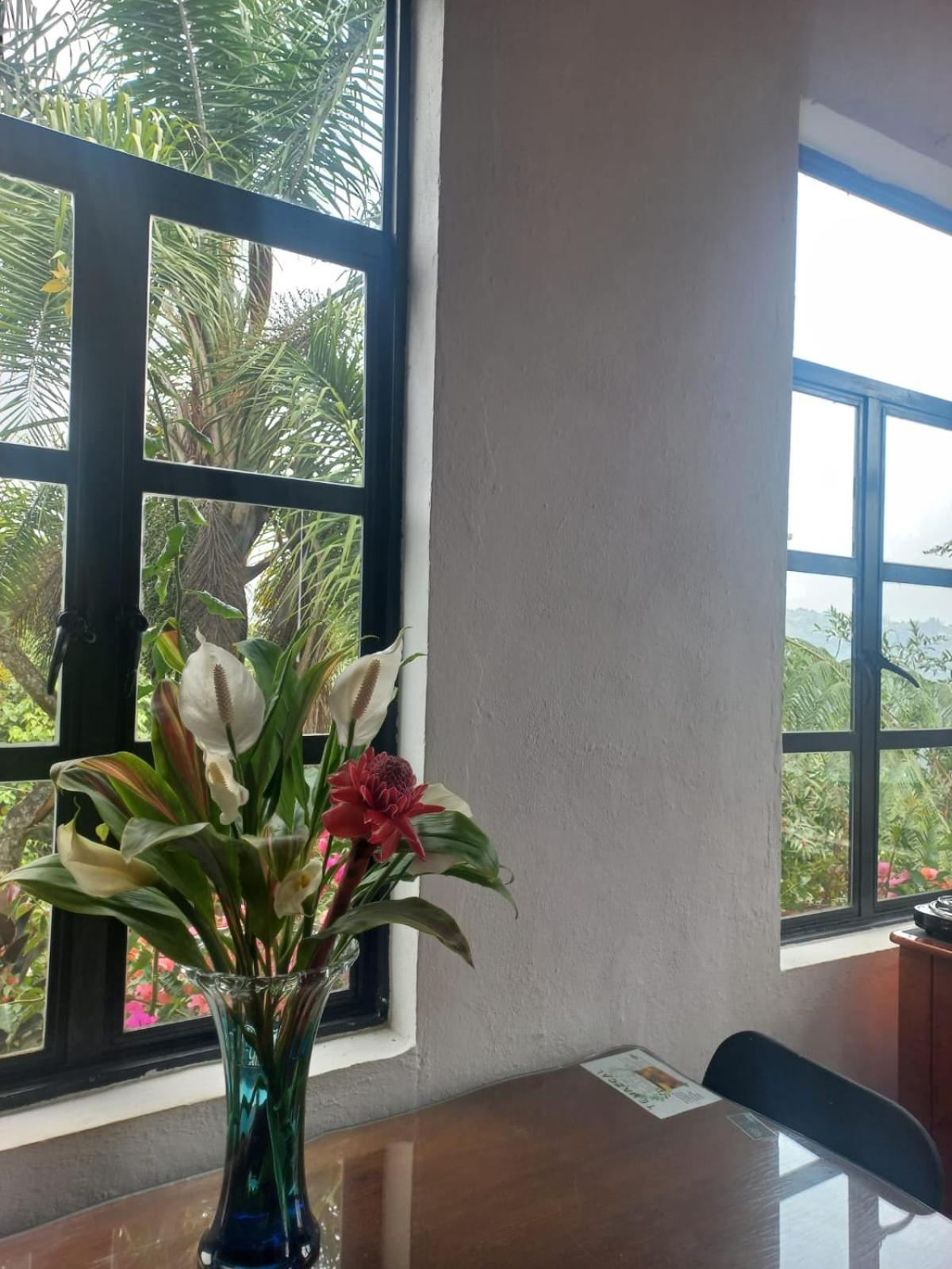 Hospedaje Totalmanik Cuetzalán del Progreso Esterno foto